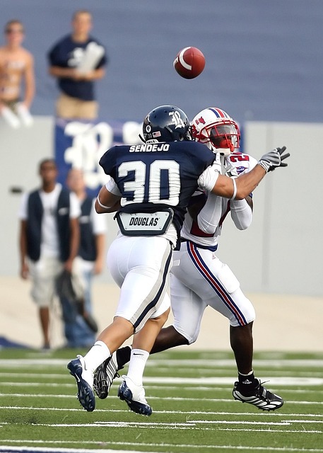 篇章的标志 篇章的标志