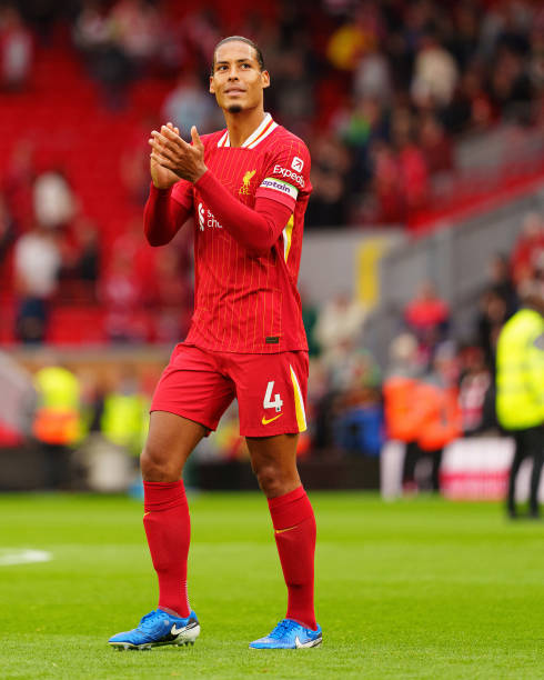 充满了观赏 充满了观赏