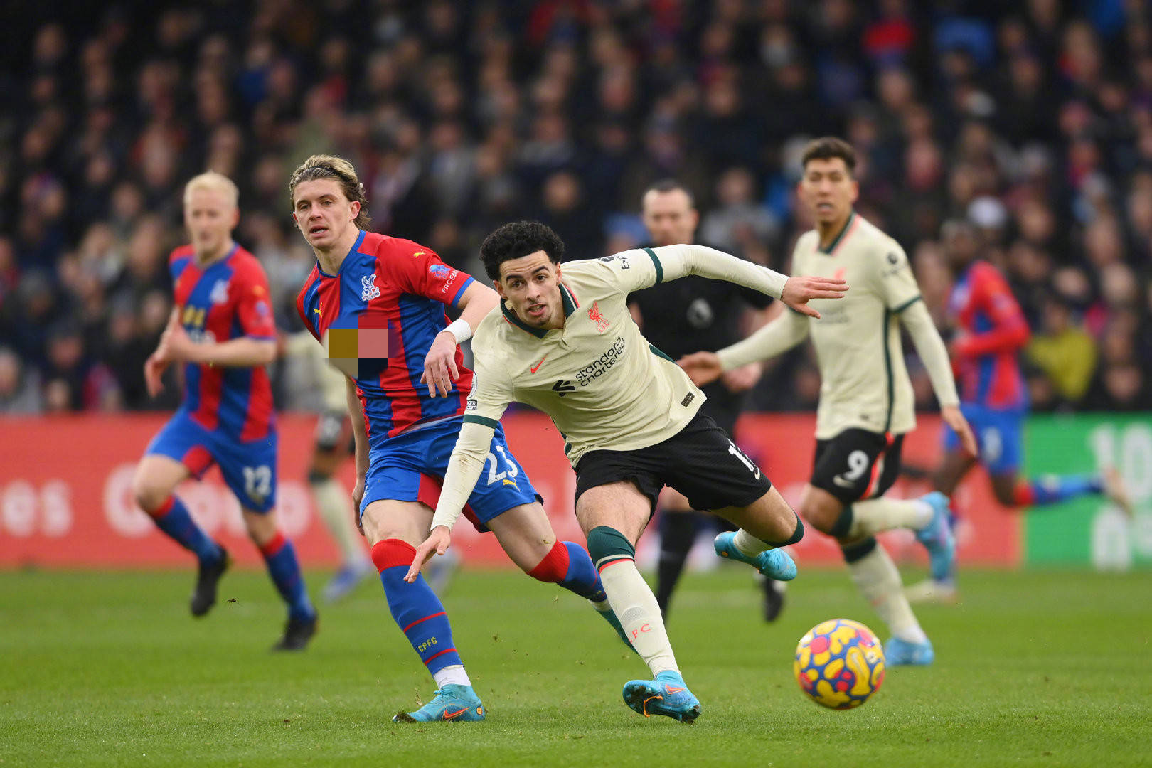 将成为本轮 将成为本轮