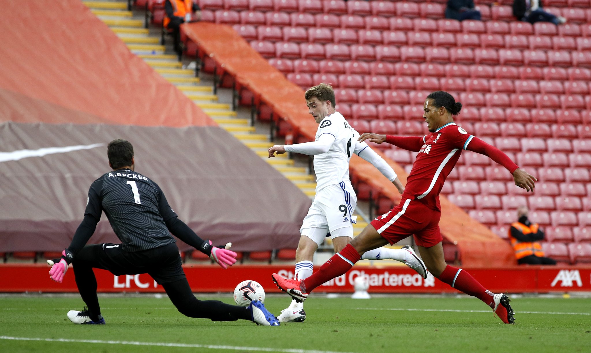 图多尔能否 图多尔能否